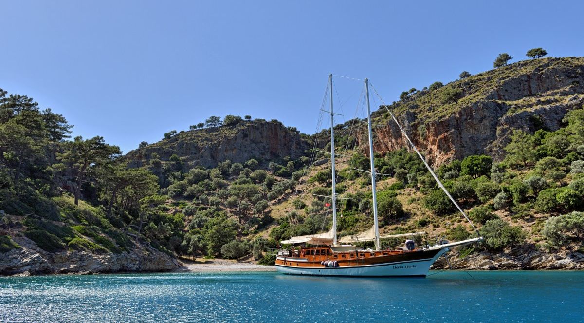 1. What is a Blue Cruise?